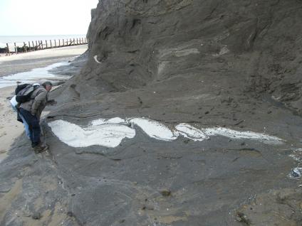 Boudinage involving chalk within a diamicton at Beeston Regis