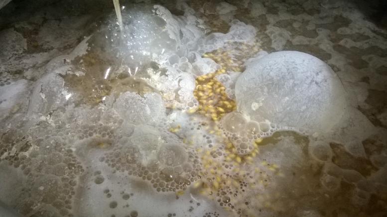 Making a sour wort with the malt grains themselves