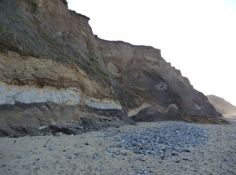 A long slice of Chalk and super-incumbent Wroxham Crag have survived their entrainment in the Happisbugh Till