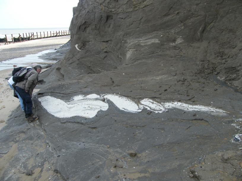 A sheared mass of chalk exhibits boudinage structure