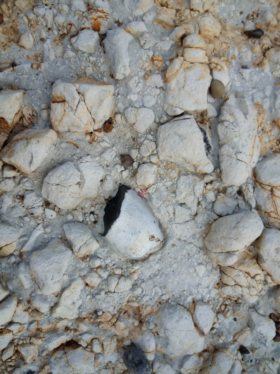 Brecciated chalk beneath the Crag at Beeston