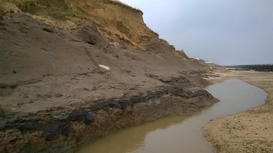 Section looking north at Ostend, Norfolk