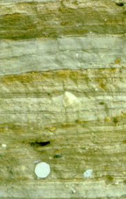 Sand-rich and chalk-rich bands in till at East Runton