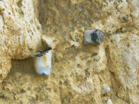Shear plane and sheared flints