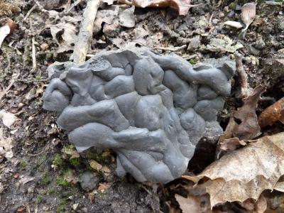 Iron slag from Felbrigg Hall estate