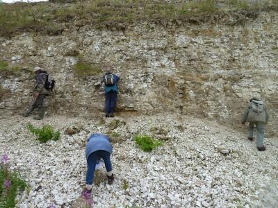 Walls of a chalk pit