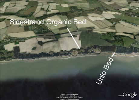 Sidestrand Trimingham section from the north
