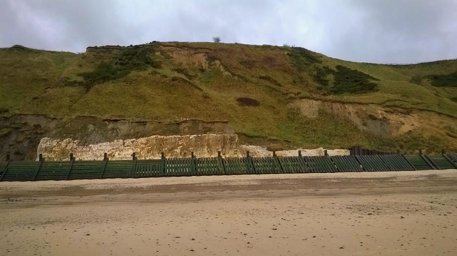 Click on image to enlarge, back button to return Trimingham Chalk raft at Vale Road