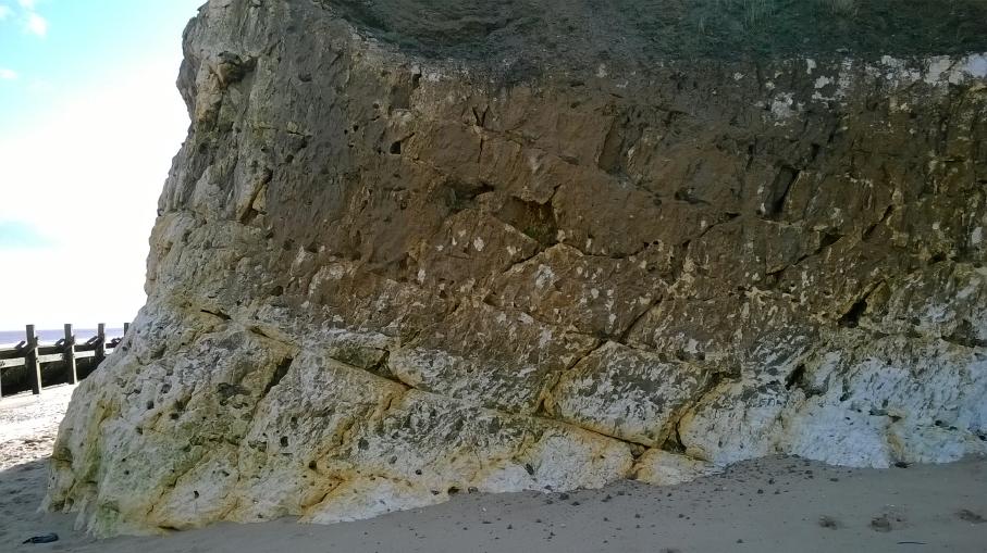Trimingham Chalk raft