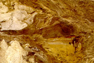 Chalk and sand diamicton of the Contorted Drift