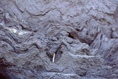 Finely laminated and folded glacial lake clays from glacial lake Trimingham.