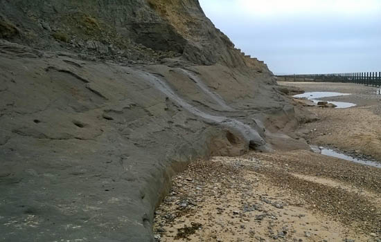 Cliffs at Ostend, Norfolk