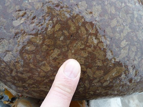 True rhomb porphyry found on West the Beeston Regis to West Runton section