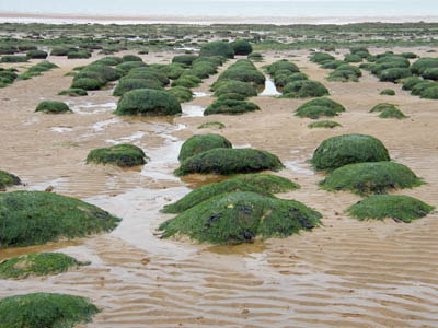 The foreshore at Hunstanton