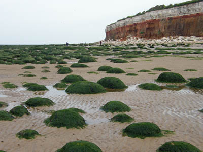 The foreshore at Hunstanton