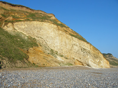 Chalk raft in the cliff at Sidestrand