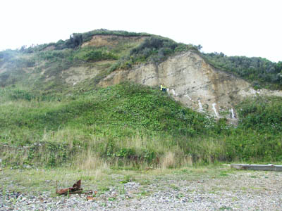 Chalk rafts at Overstrand
