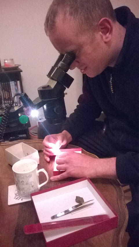Jon Stewart developing a small fossil