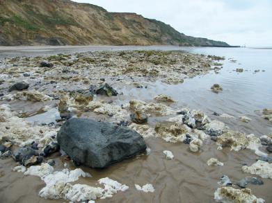 Trimingham beach